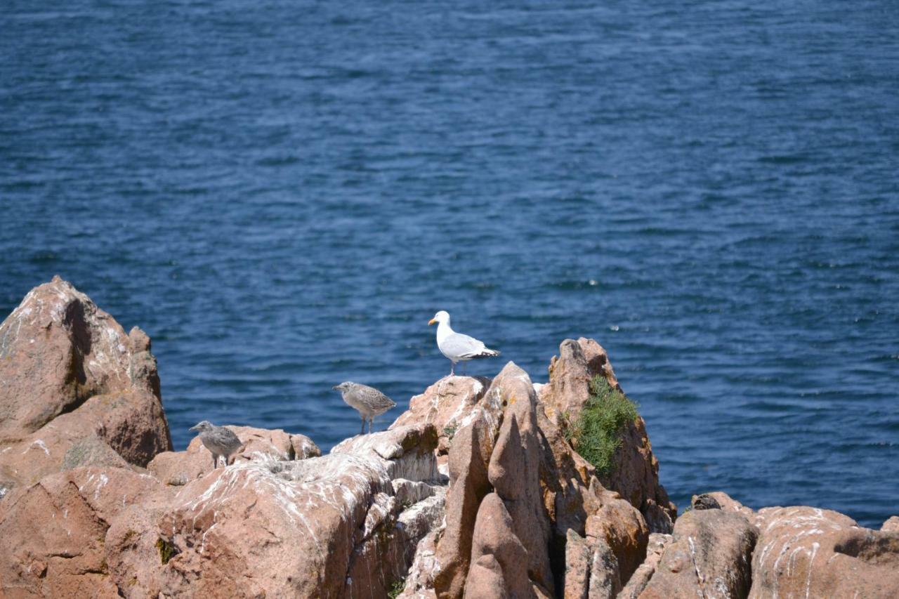 Gite Du Port Sur La Presqu'Ile De Lézardrieux Exteriér fotografie